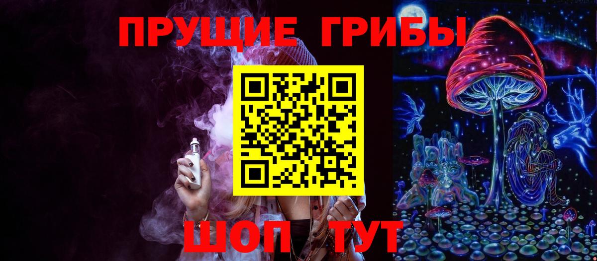 Псилоцибиновые грибы Psilocybine cubensis Коломна